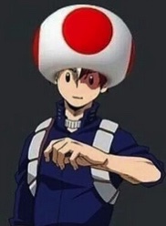 My Shoto Toad-Oroki OC (Read Desc) Minecraft Skin