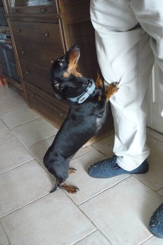 [Image: P1240710.jpg]