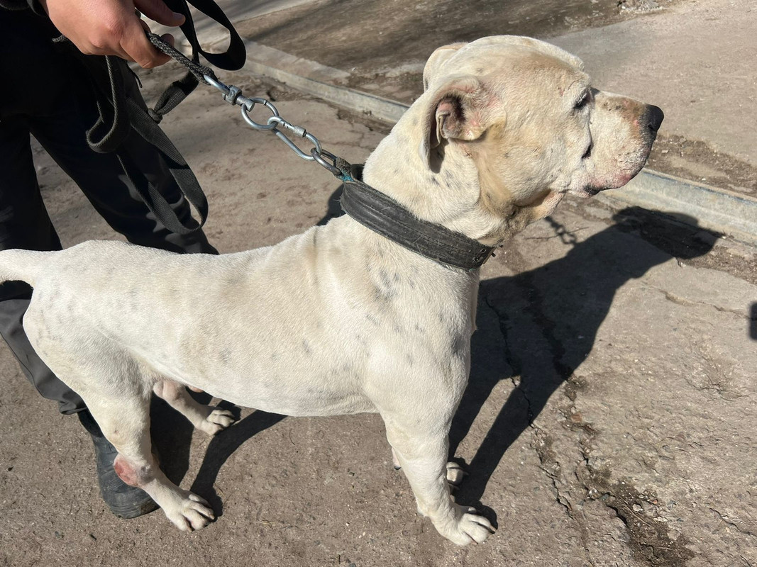 WhatsApp Image 2024-04-05 at 13.29.29 (1)