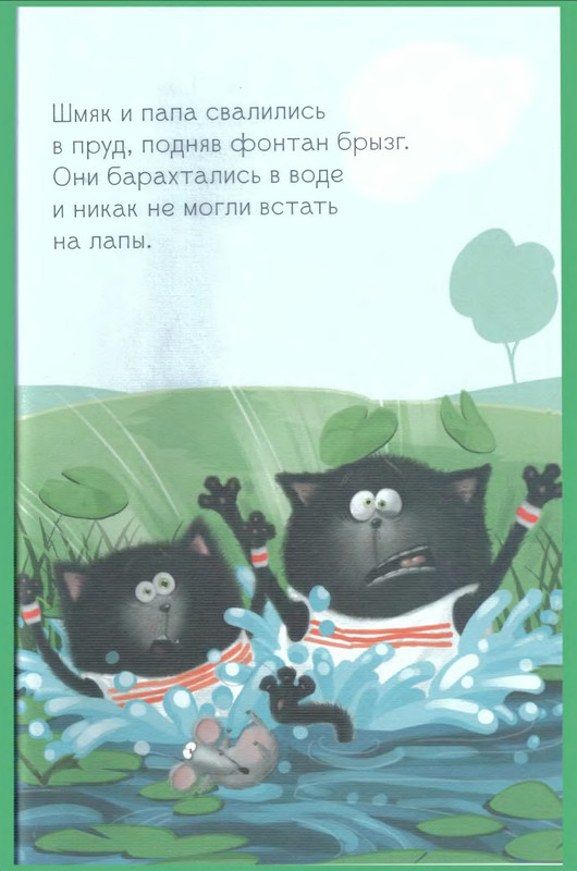 p0030