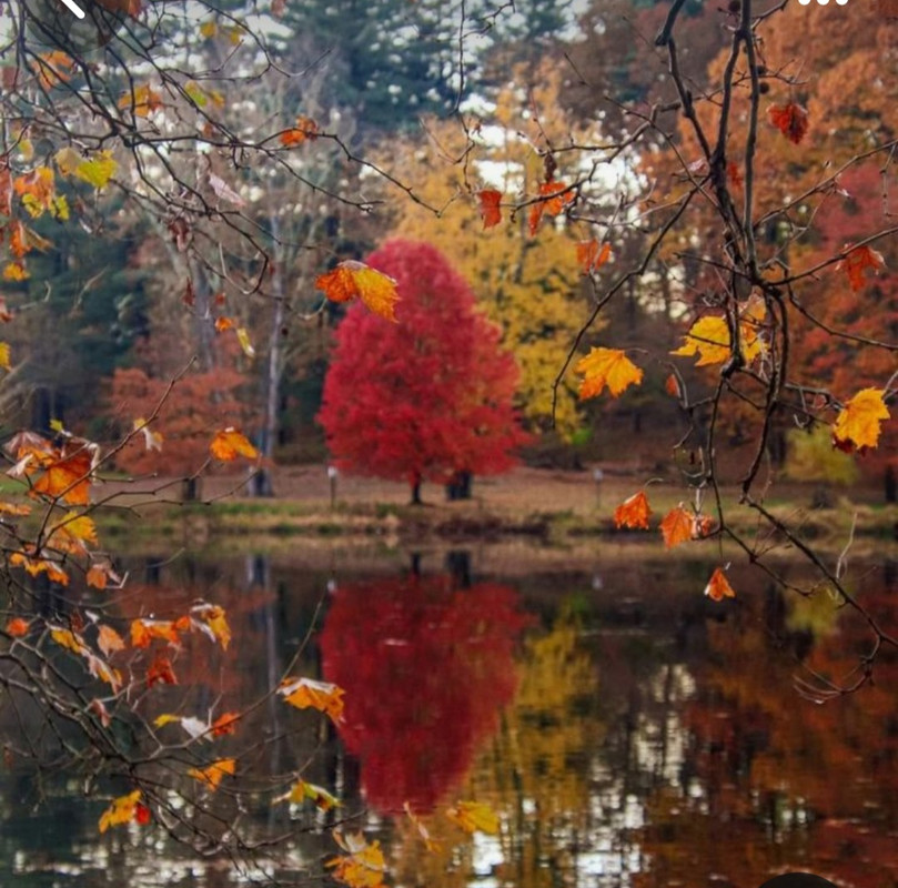 Screenshot_20231128_001329_Pinterest