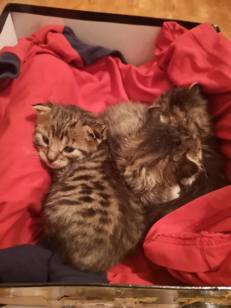 E31EE92E-3E52-441D-8418-6915920BEA9D