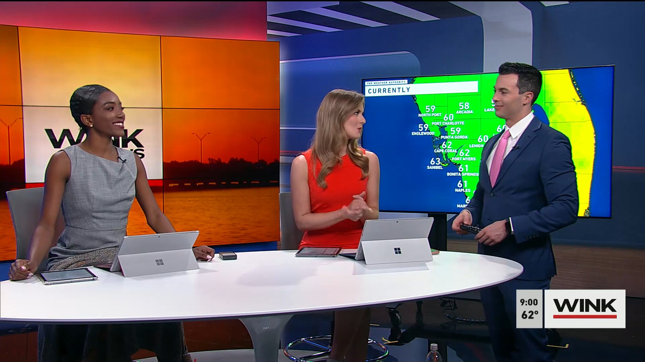 02.04 - 14.00.00 - WINK News at 9 00AM  ᴺᵉʷ. Morning news.ts_snapshot_00.07.12.844
