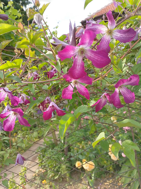 IMG_20230607_184847_HDR