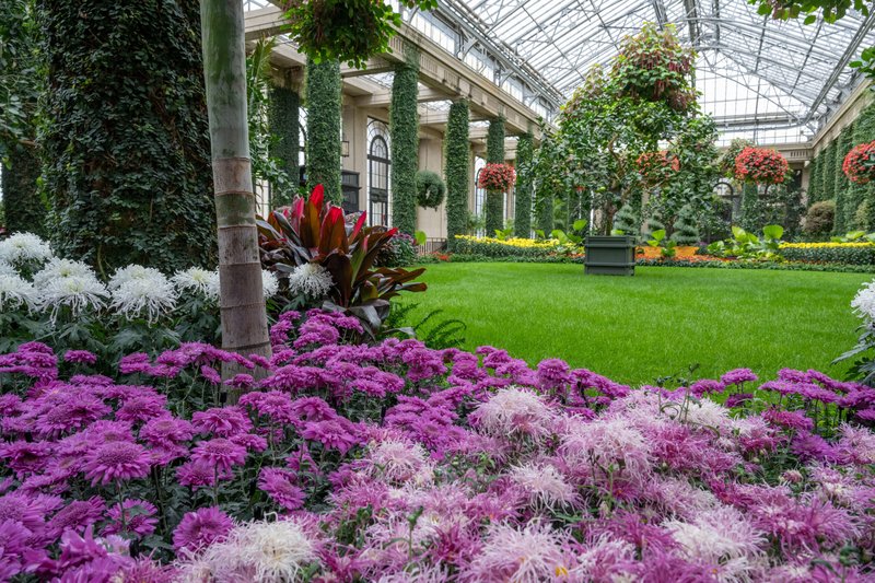 607826-Orangery-Courtesy-of-Longwood-Gardens-Hank-Davis-scaled