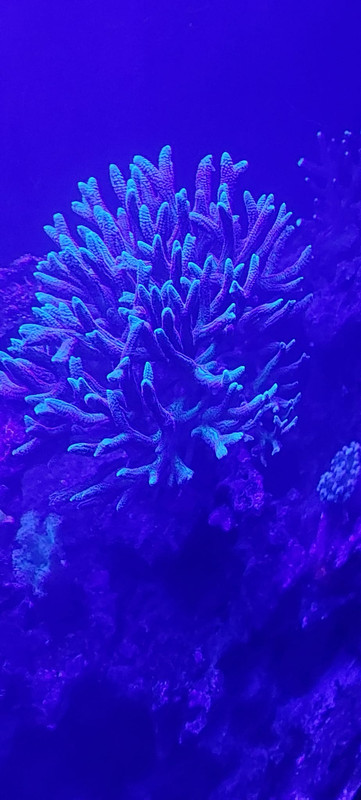 Whats App Image 2026 01 30 at 19 48 20