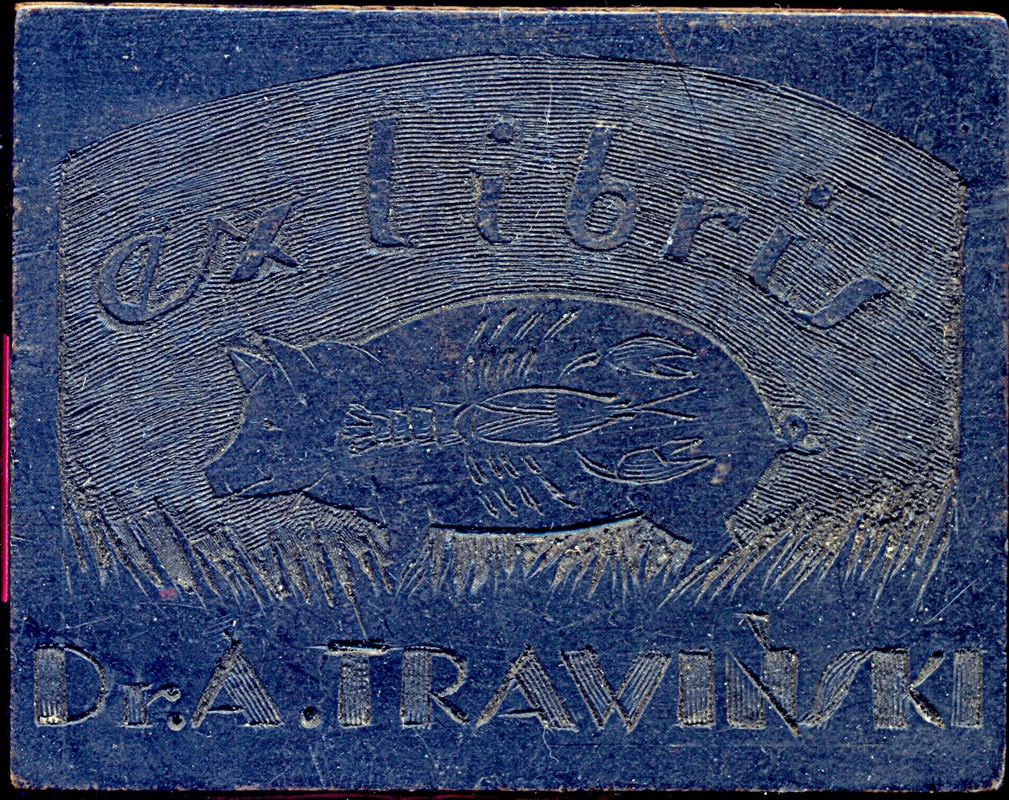 Dr A Travinski