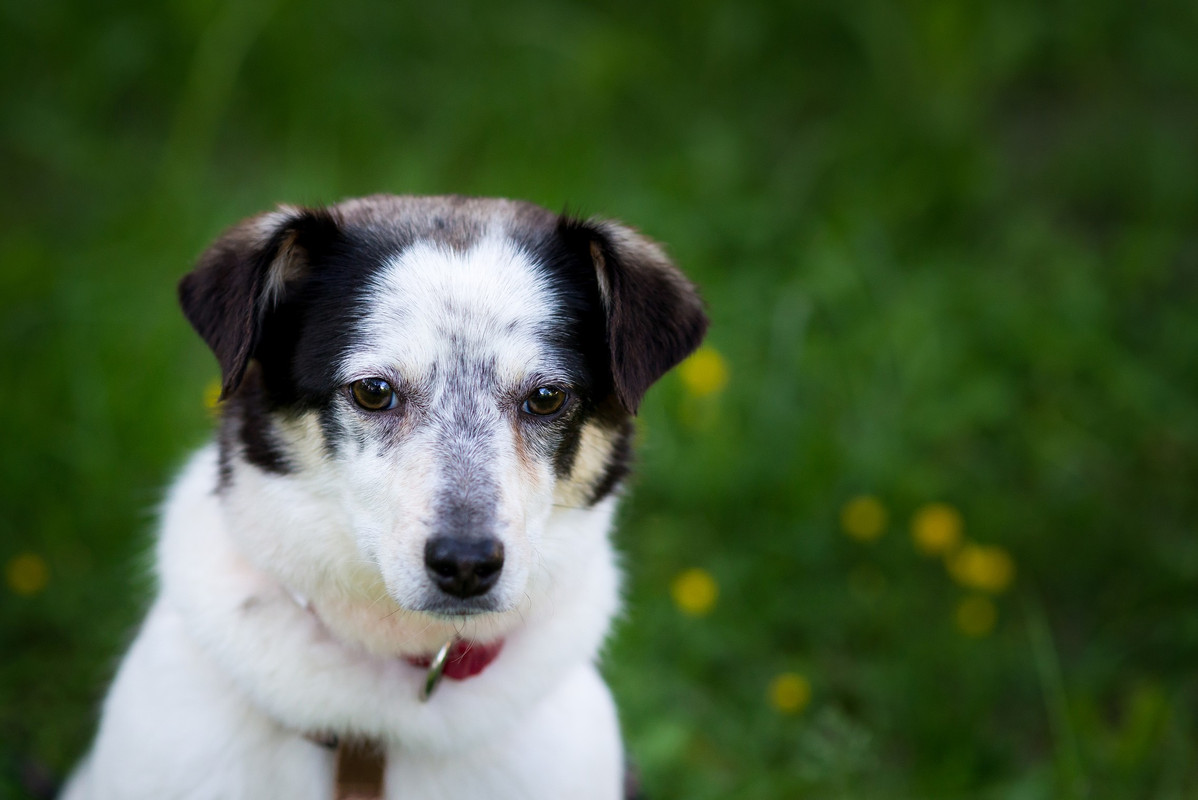 F2012BB0-969D-42E6-8B59-1844D3A3D7C8