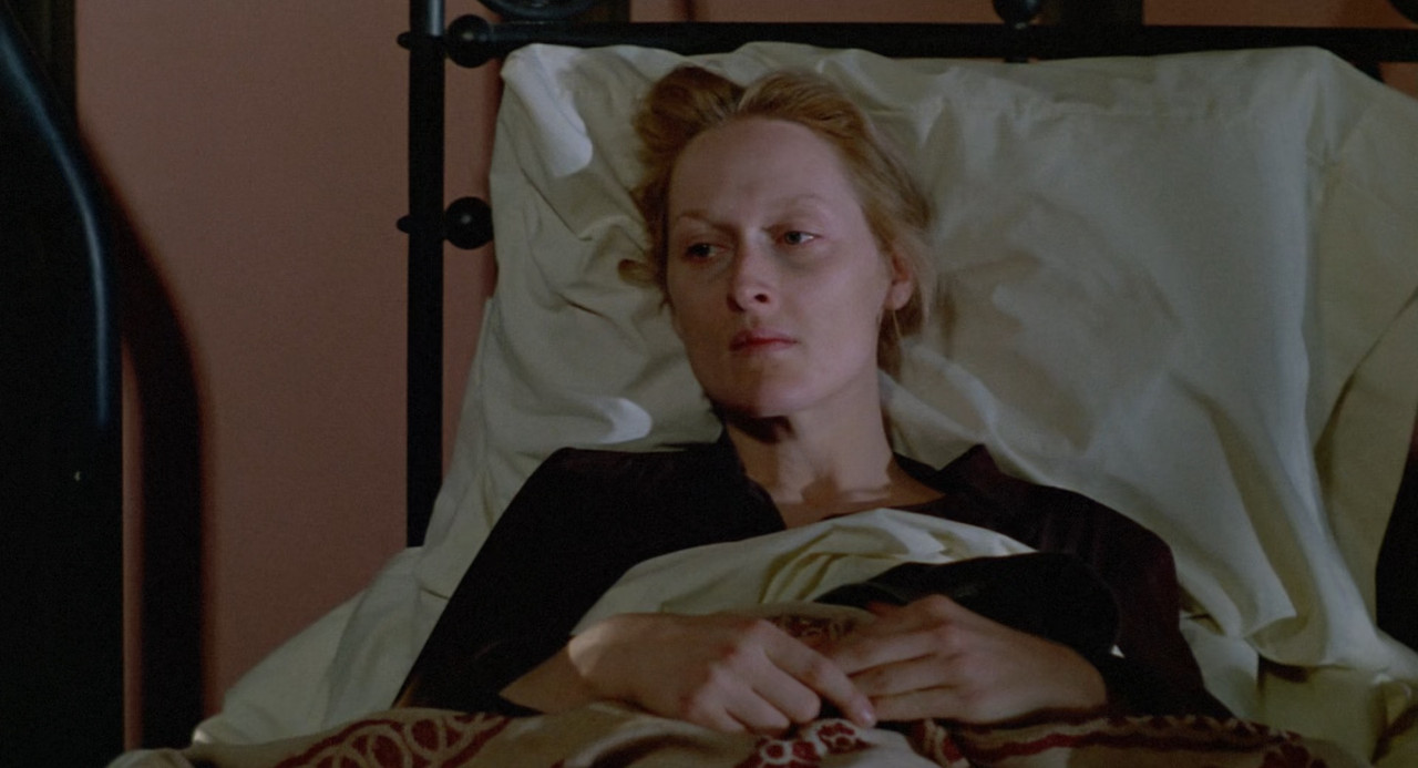 Sophie's Choice 1982 (1080p x265 10bit Tigole).mkv_snapshot_00.3