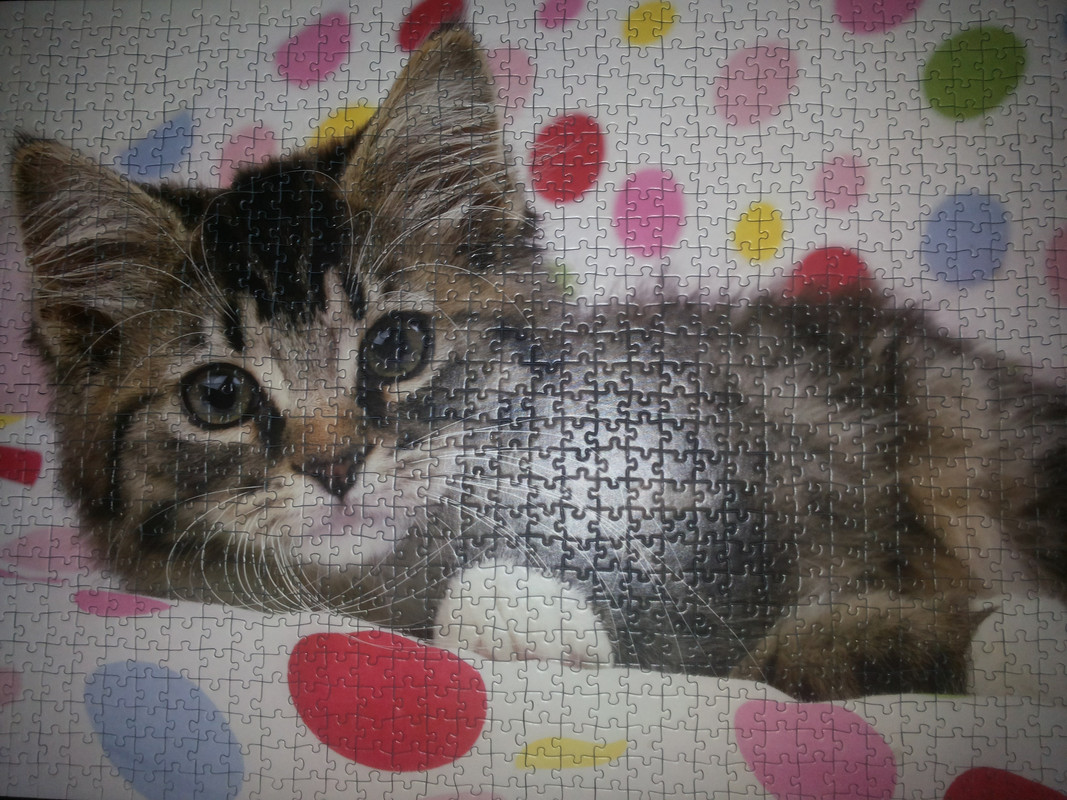 Gatito Avispado -Ravens-1000p 21.6 (15)