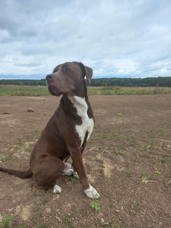 C76357FD-00E3-4E35-81AB-8A7232834883