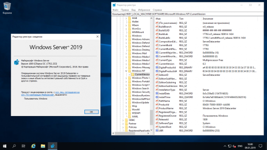 Windows Server 2019 17763.253 12in1 (x64) En/Ru January 2019