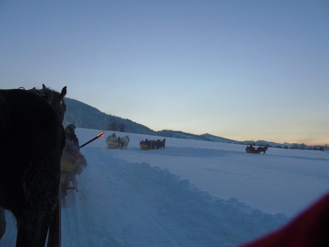 16.16 - DSC05137 (PawelK)