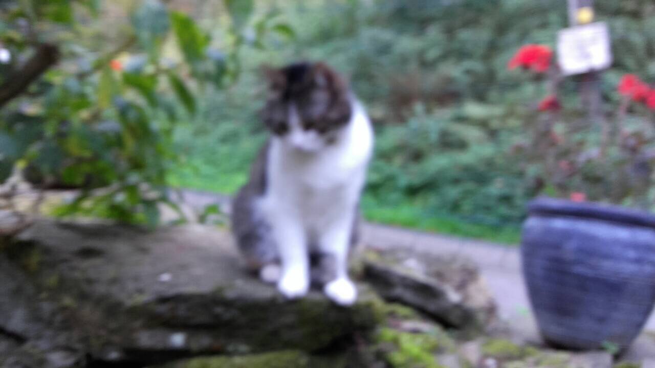 82CA8DD0-76A5-4DF1-80B6-F44C1E9E6946