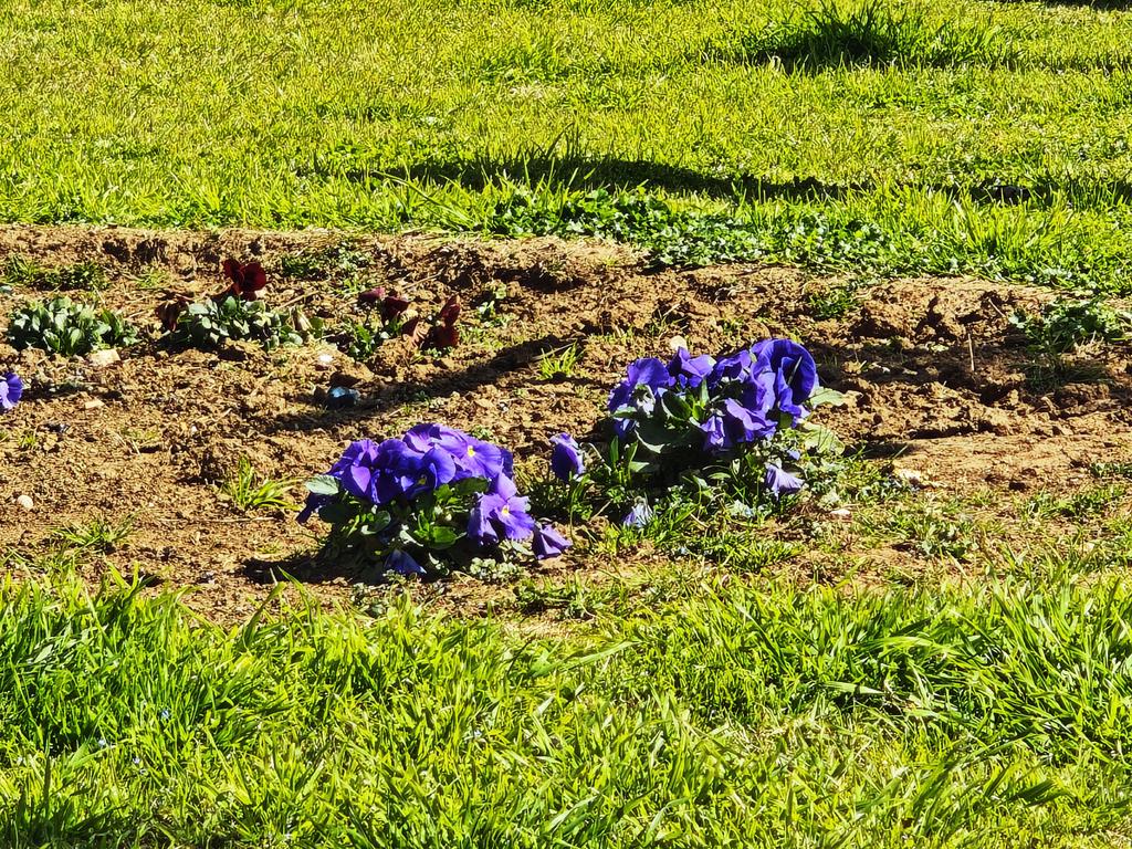 IMG 20260315 120251