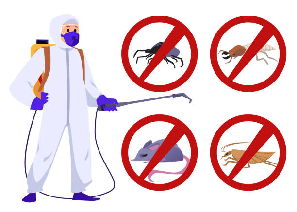 Bed-Bug-Treatment-8.jpg