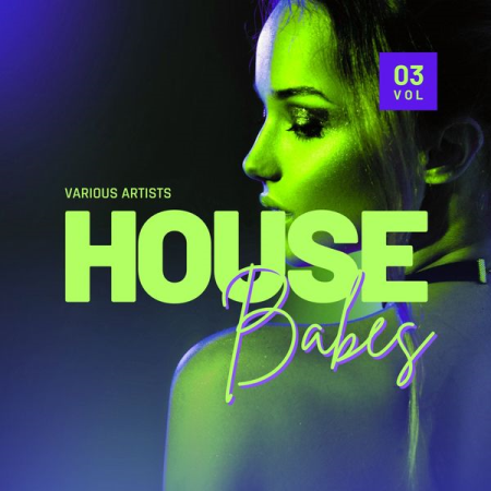 VA - House Babes Vol 3 (2022)