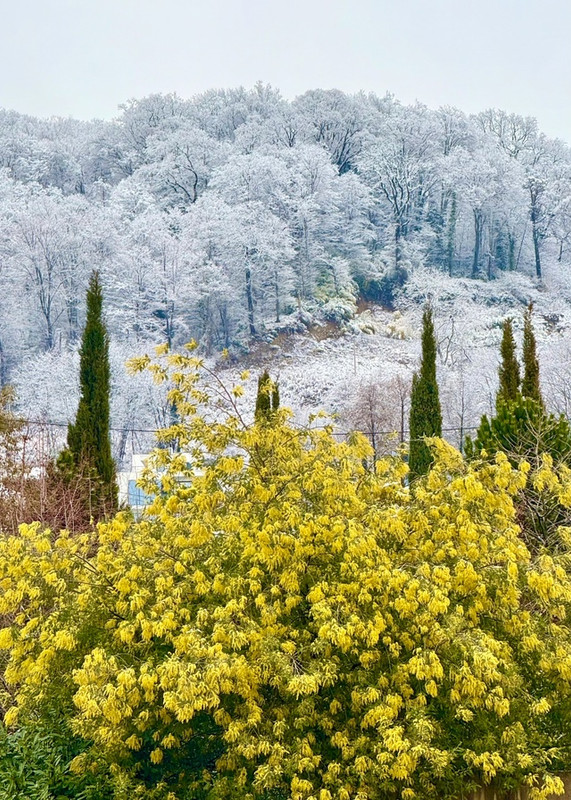 bPfJIPYoS3Vn5YDRNQyhK5mCYQ1YjQx79xBqsSECJs0yX4eNzHK9g-pHffPdBc6E9-4NFEwLdaEbO6CP6e_E8ptc