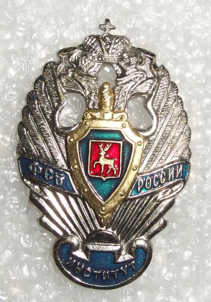 институт НН 1