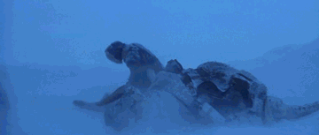 8i-ZG8jo.gif