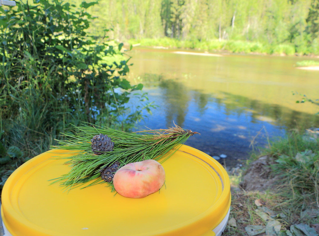 IMG_6090 (9000 x 6660)