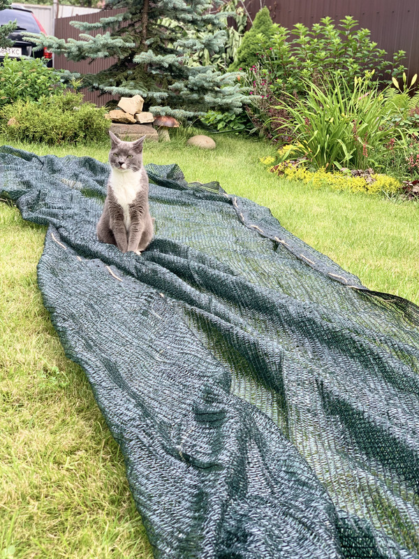 1B97F517-C489-407C-BE7B-D63FDC0BA49E