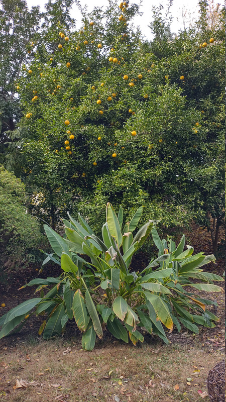 IMG 20251113 143909598 HDR