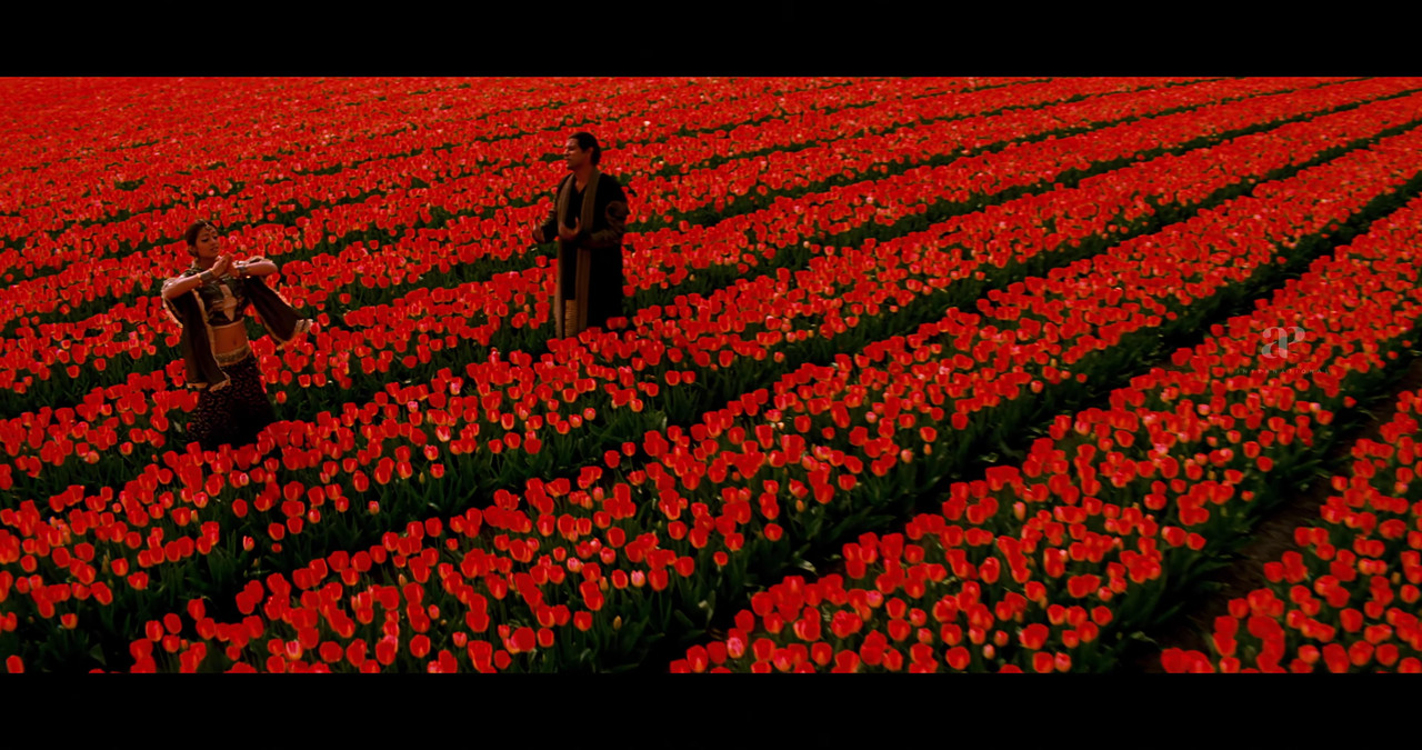 VideoCapture_20241122-200704