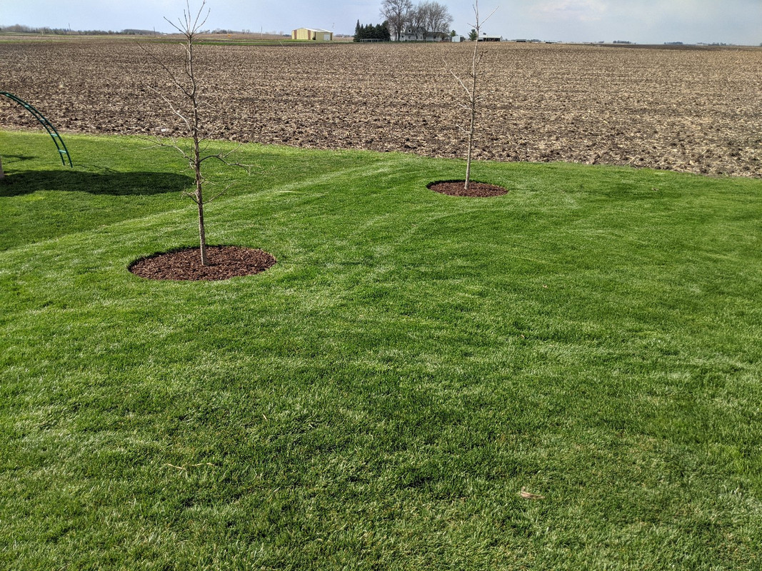 MVIMG_20200425_163713