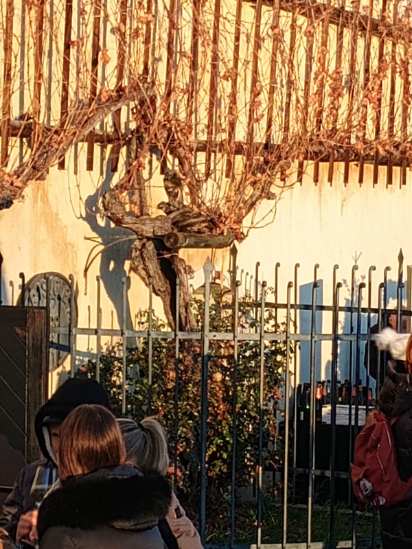 IMG 20251231 152418616