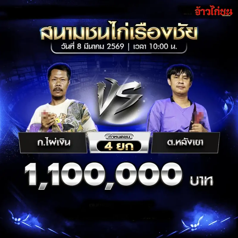 โปรแกรมไก่ชน ก.ไผ่เงิน vs ต.หลังเขา สนามชนไก่เรืองชัย 8 มีนาคม 2569