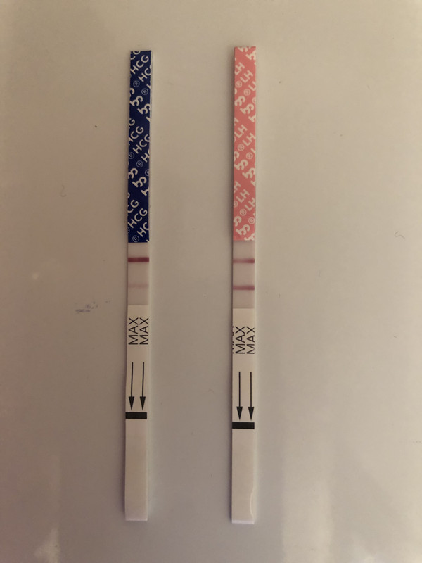 9484694D-8343-414D-A927-7836BD4909D6