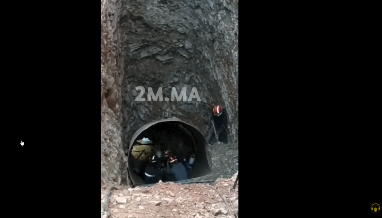 Image1.gif