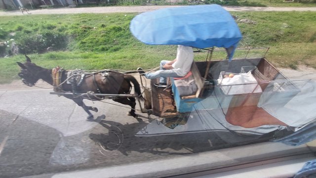 DIA 8 – HOTEL IBEROSTAR CORAL ENSENACHOS + VUELO DE VUELTA - Hotel Iberostar Selection Ensenachos (32)