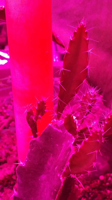 20151223_181625
