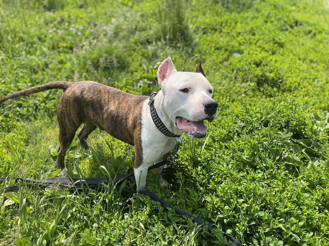 E7EE0C3C-9B14-4AA1-A9AD-98B417EB4EE8