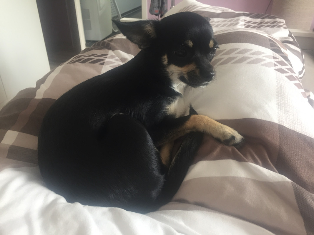 6F35F945-0E3A-47EC-A11D-6FA48B35B5AE