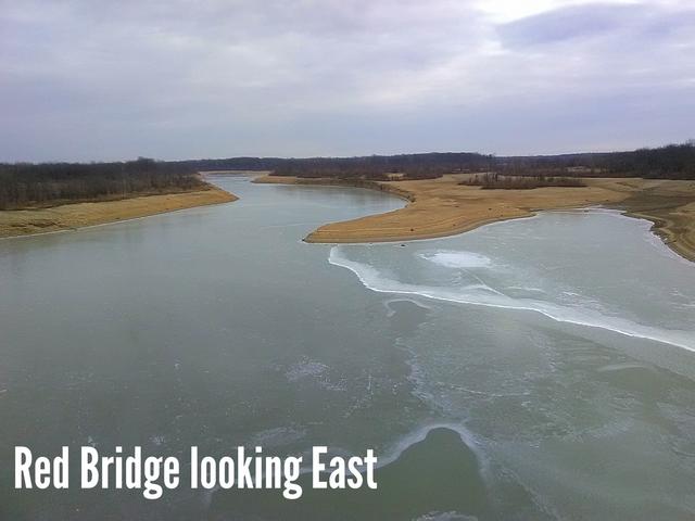 aviary-image-1517682706605