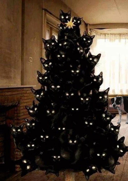 funny-Christmas-tree-black-cats1.png