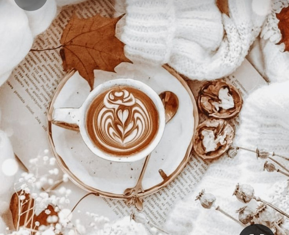 Screenshot_20230316_180704_Pinterest