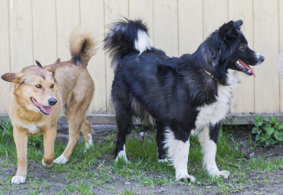 Фортуна_04_19_м15