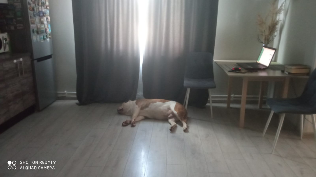 39D539D4-18A3-4C5D-8331-408FB42BE769