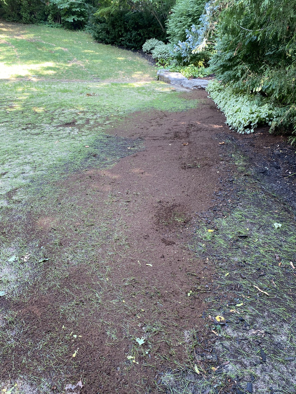 5FE328D6-E7EE-45FD-B70B-2C7FAE254C26