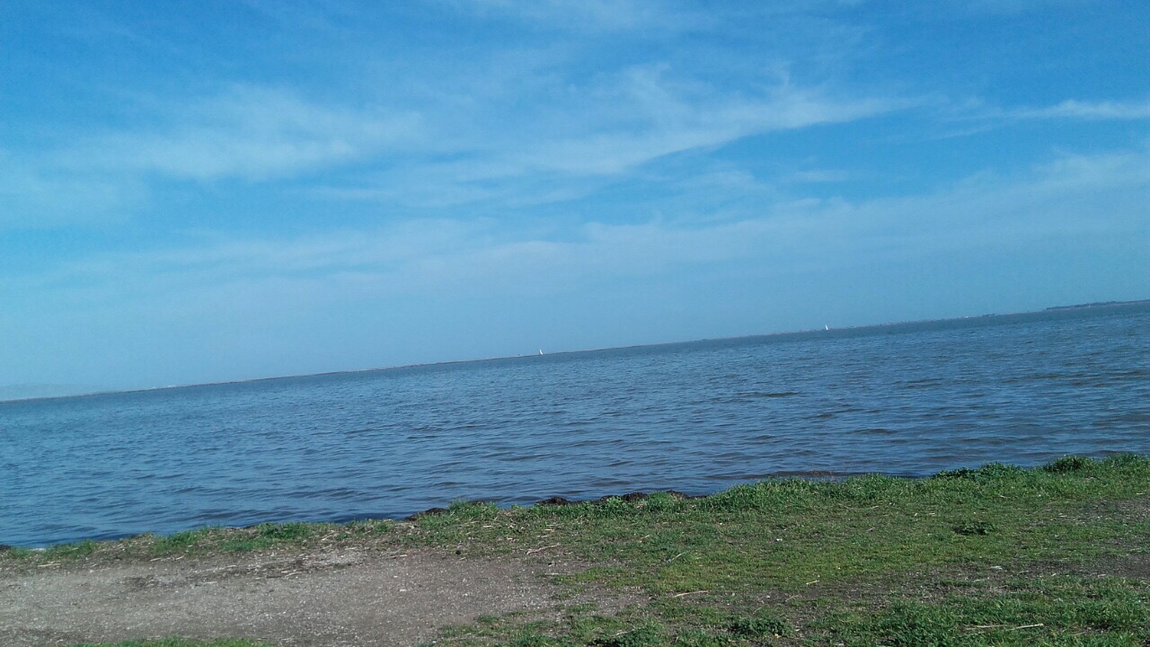 EE2AEAC4-8557-4022-86F4-5F2F5F05AE39