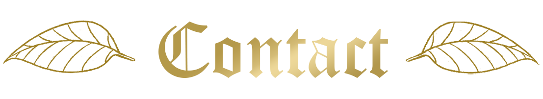 Contact