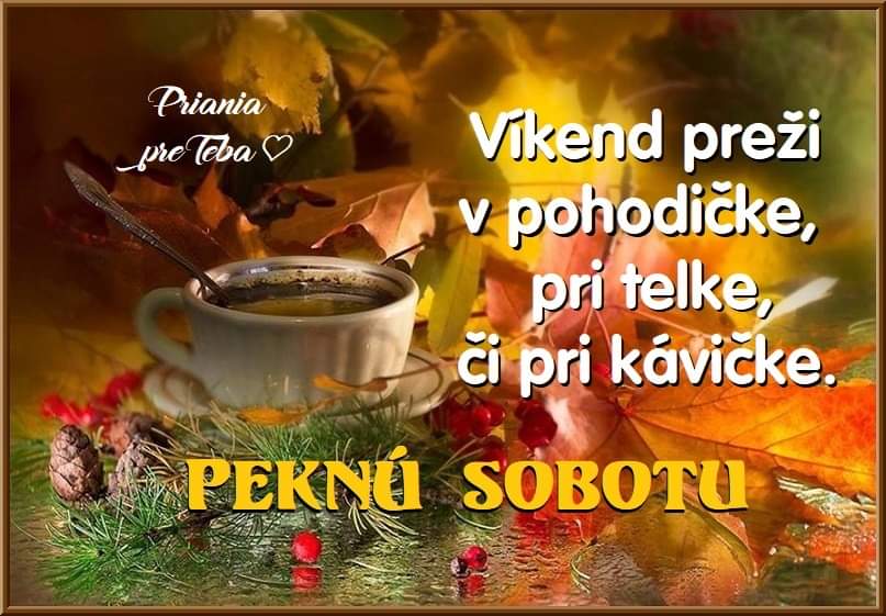 FB_IMG_1700891046551