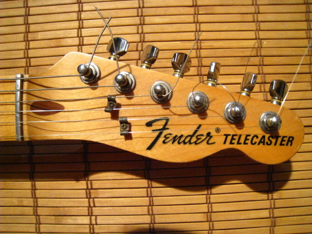 fendertl71ash-and2-13