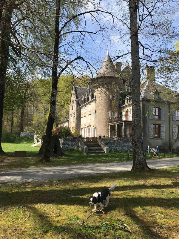 602ADC7C-C823-4A1C-81E9-32C70893A8C9