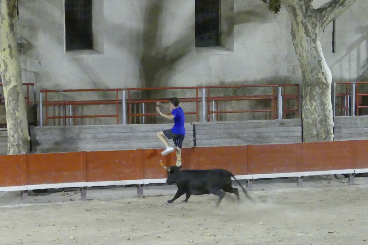 16 aout Marsillargues Carbu et Vachettes (65)