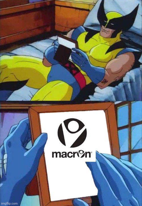8qanxj.jpg